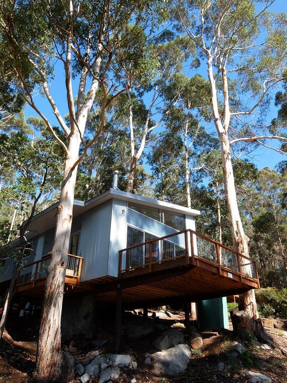 The Tree House Villa Denmark Exterior photo